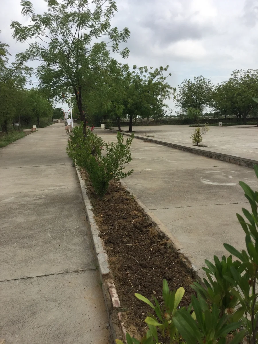 the dividers near Hanumanji gate nicely cleaned